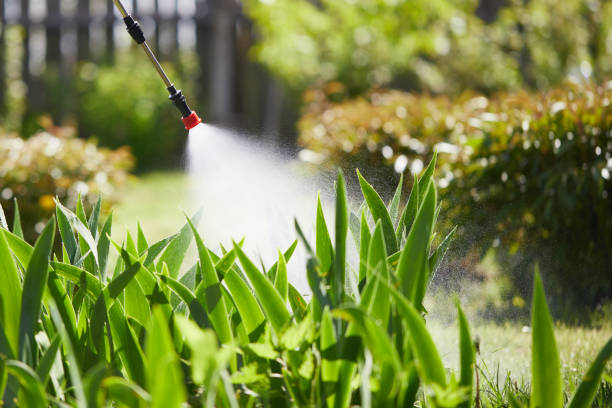 24/7 Emergency Mosquito Control experts in Lebanon, OH