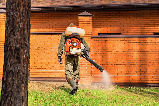 Top rated local Mosquito Control specialists in Lebanon, OH